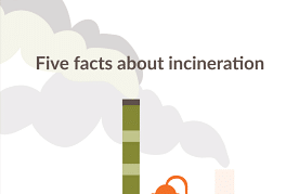 thumbnail 5 facts about incineration